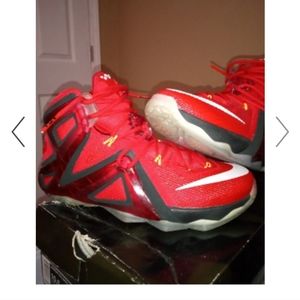 Lebron Nike Elite 12